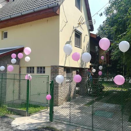 Willa Tiszavirag Vendeghaz Segedyn Zewnętrze zdjęcie