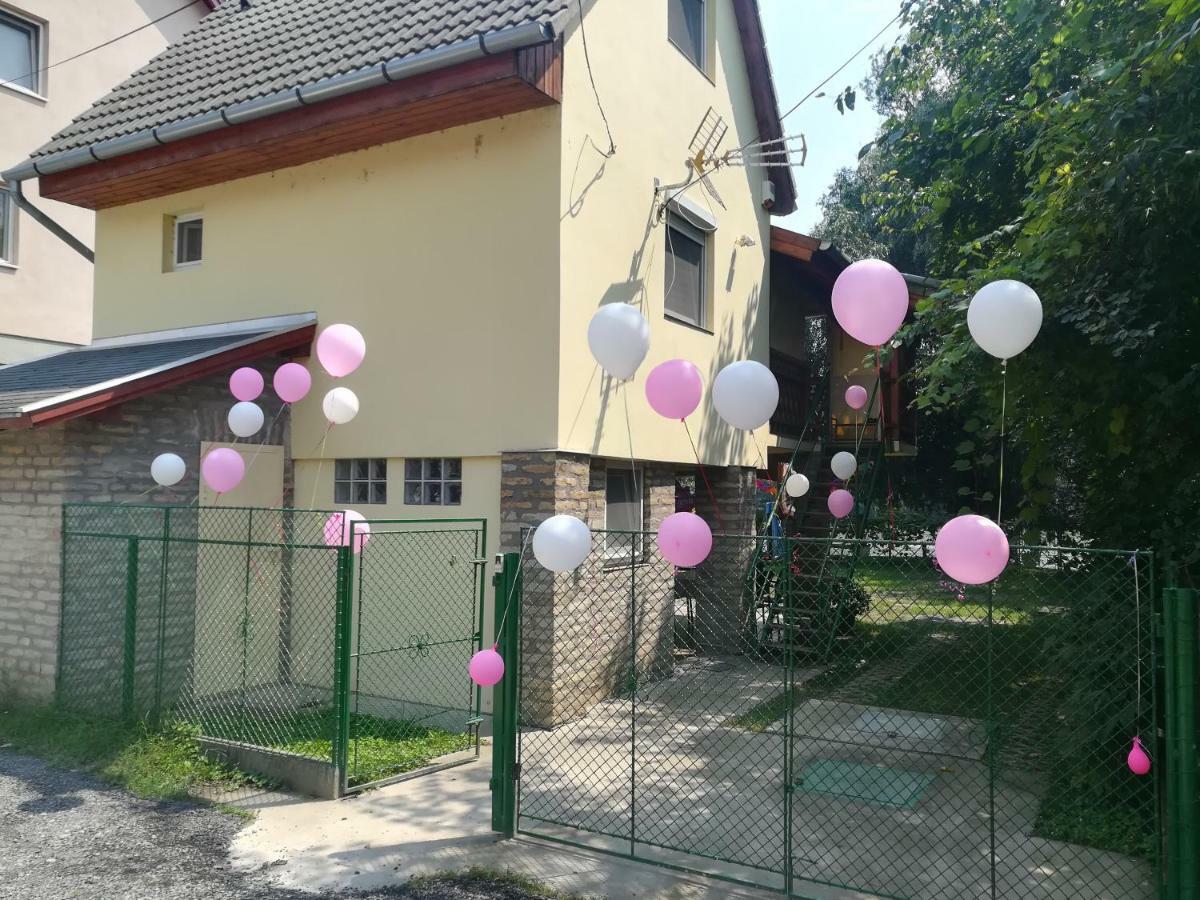 Willa Tiszavirag Vendeghaz Segedyn Zewnętrze zdjęcie